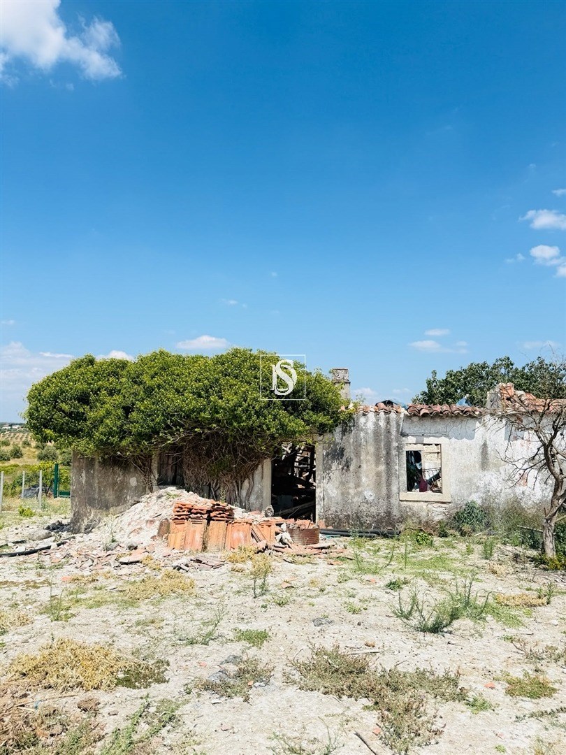 Terreno