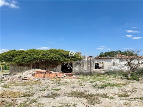 Terreno