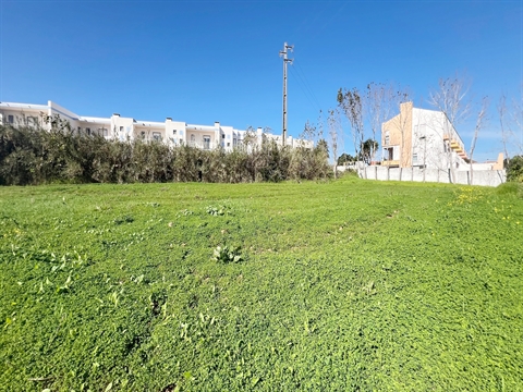 Terreno