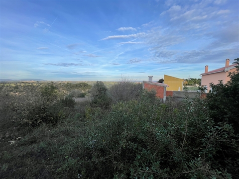 Terreno